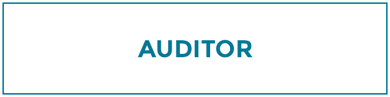 auditor