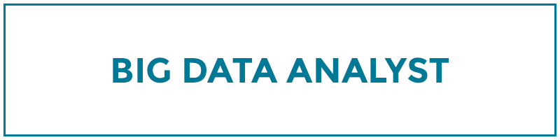 big data analyst