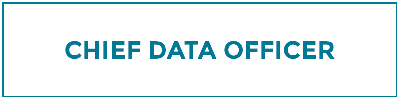 chief data officer
