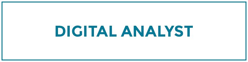 digital analyst