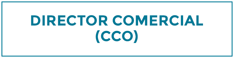 director comercial