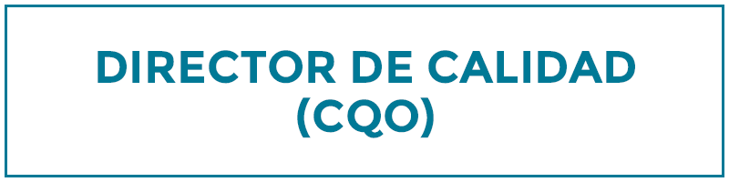 director de calidad