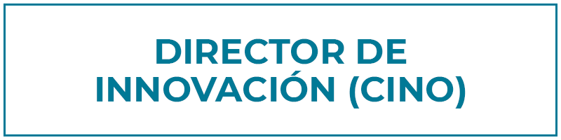 director de innovación
