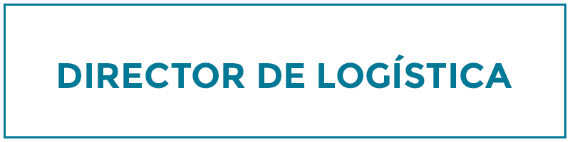 director de logística