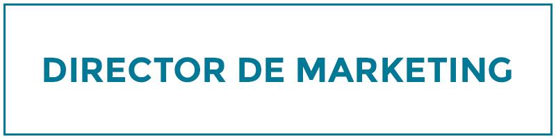 director de marketing