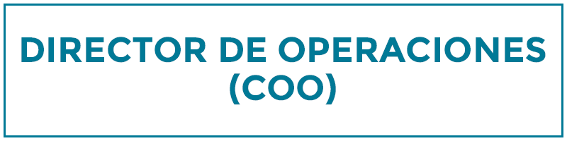 director de operaciones