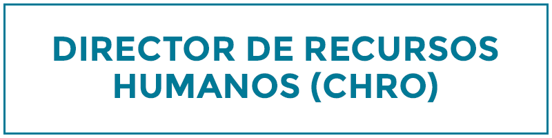 director de recursos humanos
