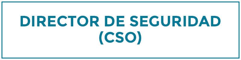 director de seguridad