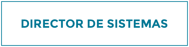 director de sistemas