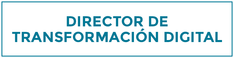 director de transformación digital