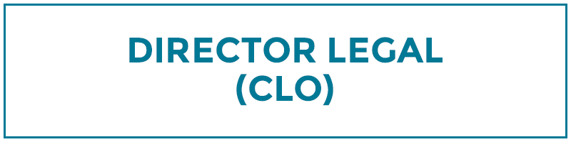 director legal