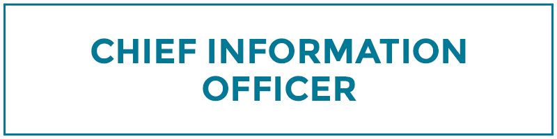 chief information officer