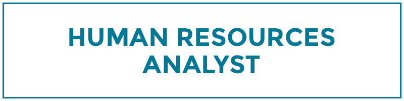 human resources analyst
