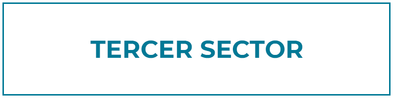tercer sector